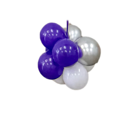 Water Balloon Weight and 5" Balloon Cluster