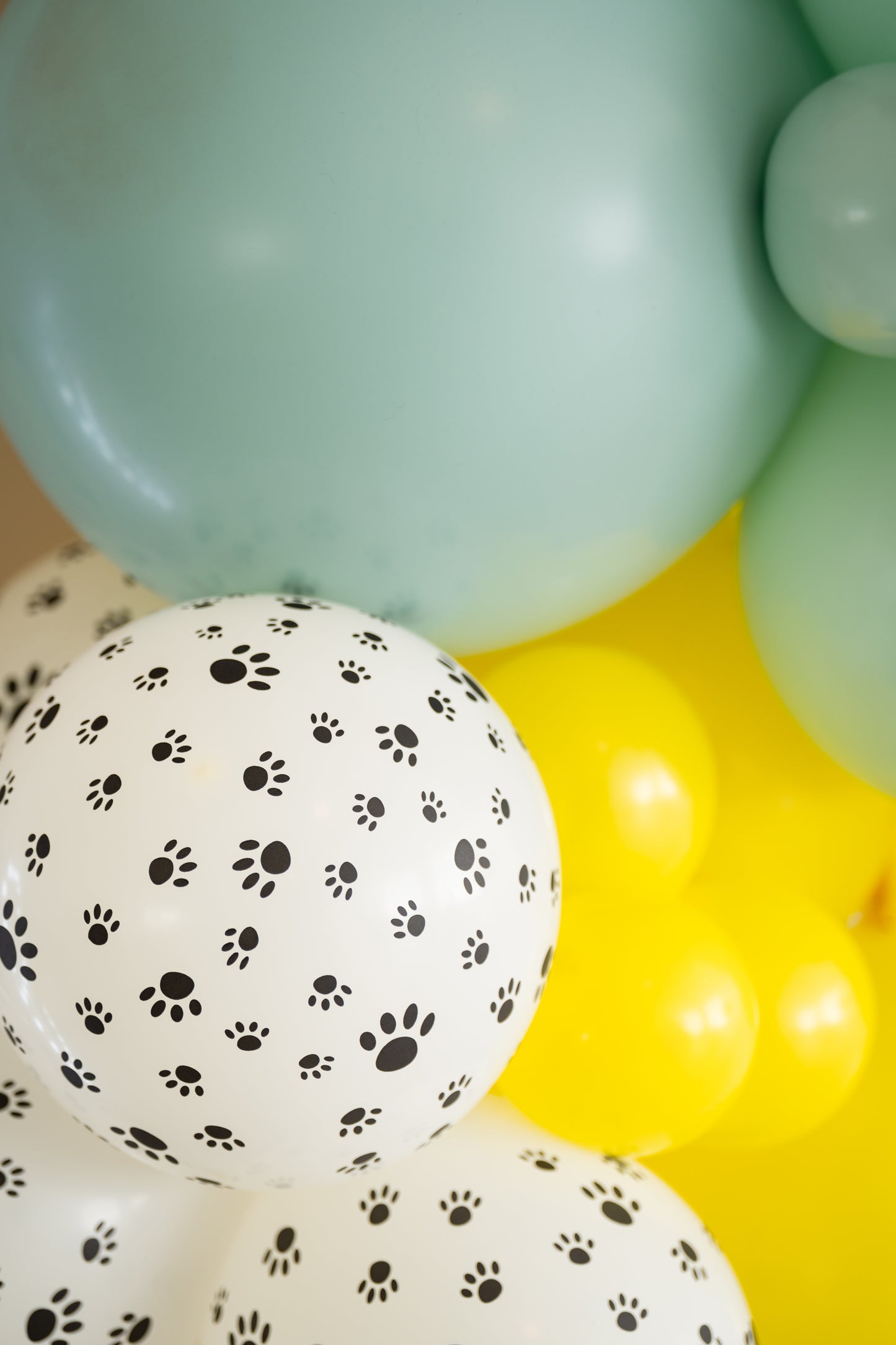 Puppy Party Balloon Garland